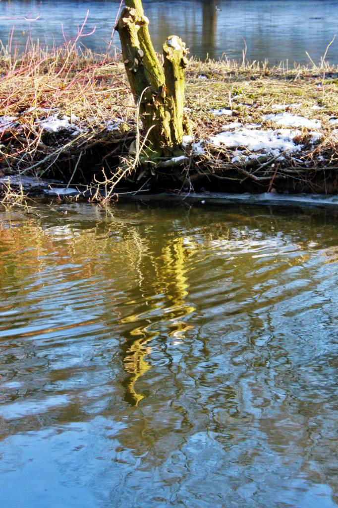 Spiegelung im Kurparkteich Hamm.JPG - Spiegelung im Kurparkteich Hamm